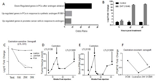 Figure 3: