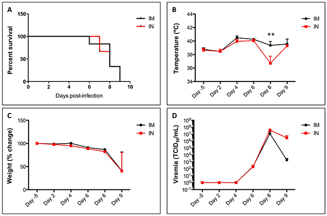 Survival, temperature, weight and viremia in SUDV-infected ferrets.