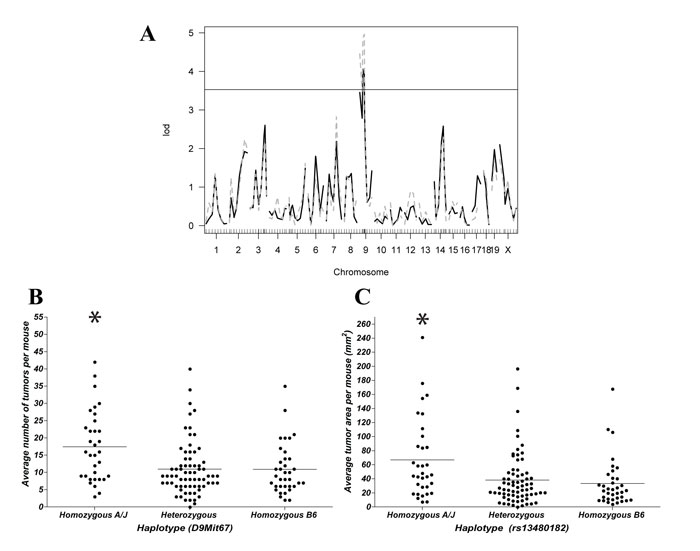 VanDerKraak2010-Fig4.pdf