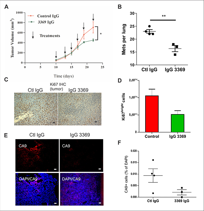 MMP-14 blockade limits tumor progression and metastasis in a syngeneic TNBC model.
