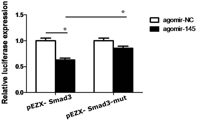 The luciferase activity was measured in HepG2 cells co-transfected with miR-145 agomir or negative control and Smad3 3&rsquo;-UTR wild-type, mutant vector for 48h.