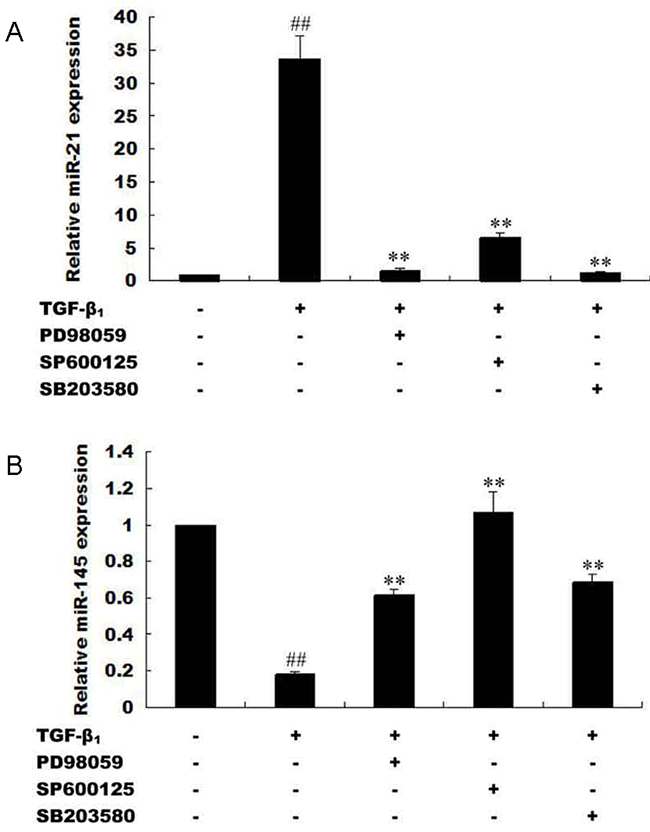 Expression of microRNA-21 and microRNA-145 is mediated by MAPK and T&beta;RI activation.