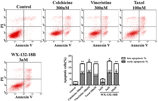 The impact of compound WX-132-18B on apoptosis in A549 cells.