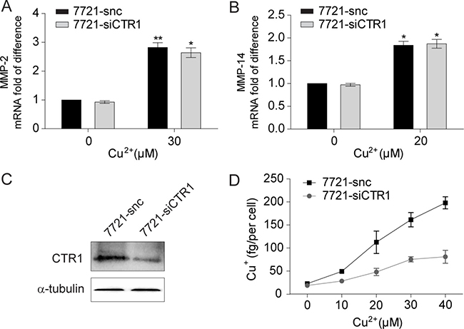 Intracellular uptake is not required for copper to up-regulate MMP-2 and MMP-14 expression.