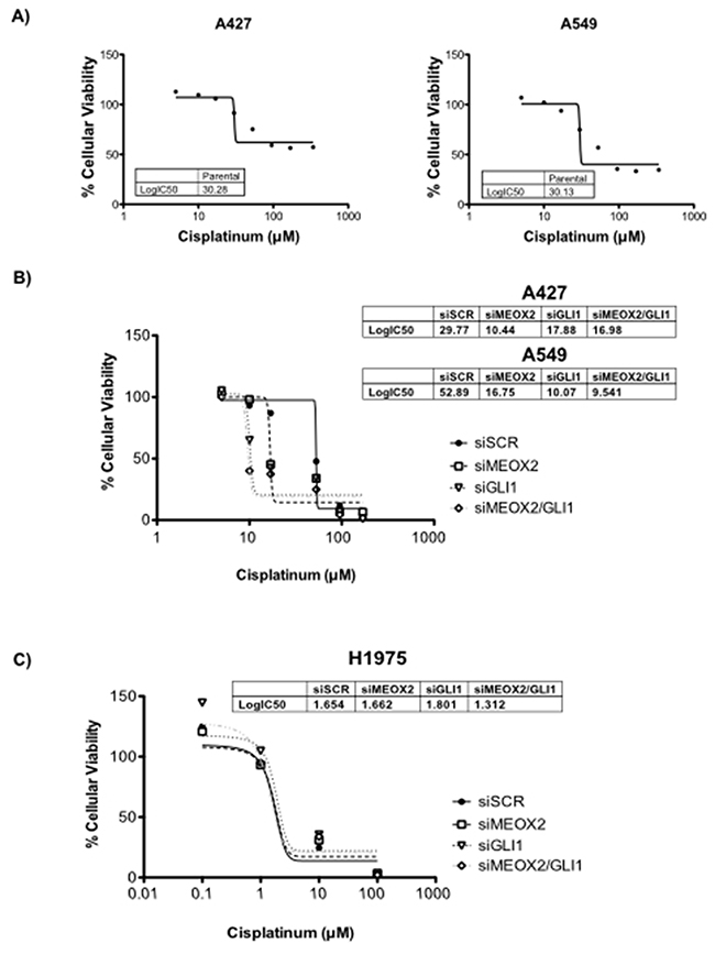 Cytotoxic cellular resistance exhibited MEOX2-GLI1 axis-dependent resistance via a cisplatinum dose-dependent mechanism.