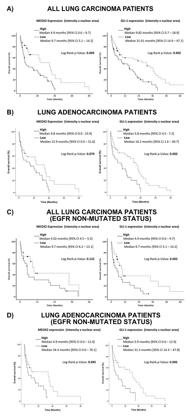 Quantitative (Intensity Index plus Nuclear Area Average) analyses revealed the involvement of the MEOX2-GLI1 axis in overall survival and clinical responses to treatment in lung cancer patients.