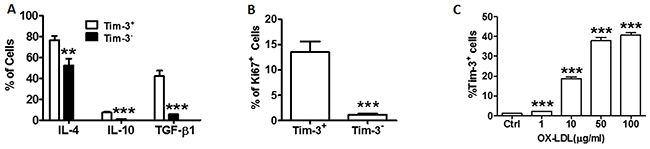 Tim-3 correlates with the production of anti-atherogenic cytokines and proliferation of HUVECs.
