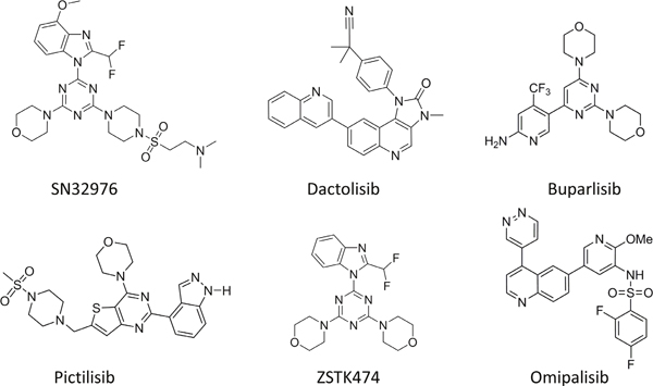 Chemical structures of SN32976, dactolisib, buparlisib, pictilisib, ZSTK474 and omipalisib.