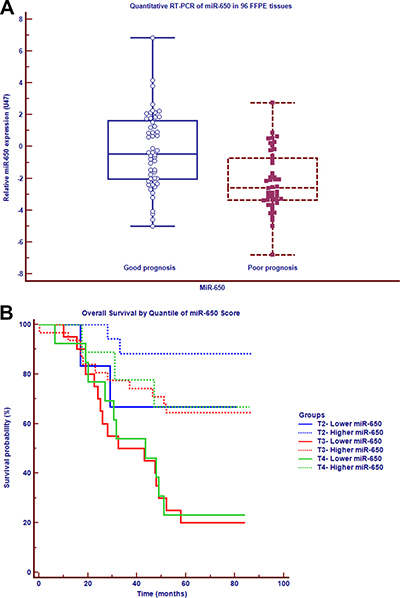 MiR-650 is positively associated with the prognosis of early-stage CRC.