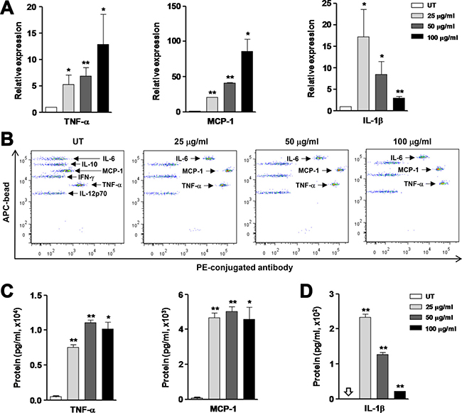 OxLDL stimulates production of inflammatory cytokines by RAW264.7 cells.