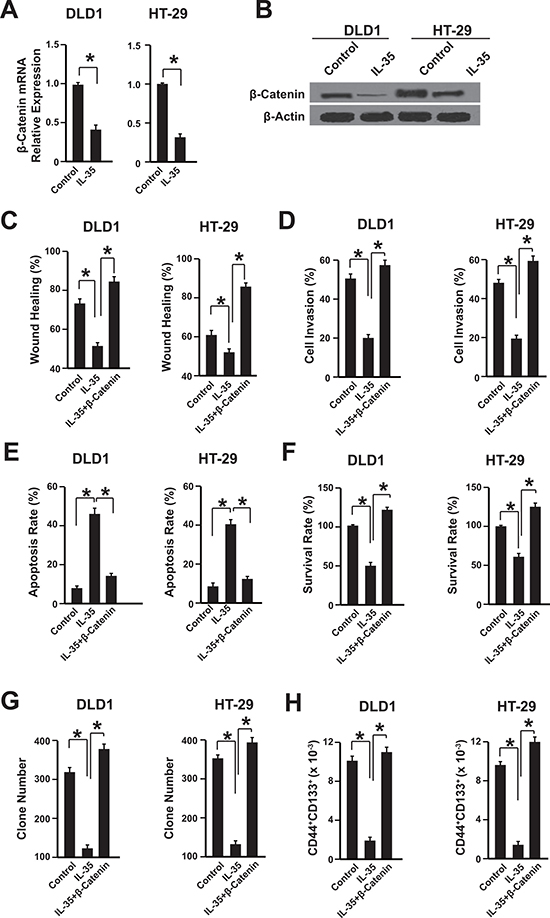 IL-35 inhibits &#x03B2;-catenin expression in colon cancer cells.