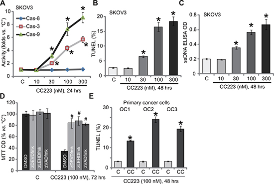 The effect of CC223 on ovarian cancer cell apoptosis.