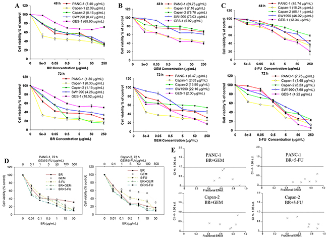 Brusatol (BR) inhibits proliferation and potentiates the inhibitory effects of chemotherapeutic agents in PanCa cells.