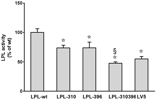 Functional analysis of LPL mutants in the medium.