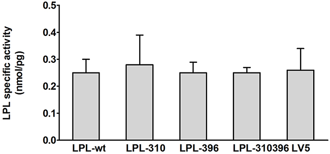 Functional analysis of LPL mutants in the cell lysates.