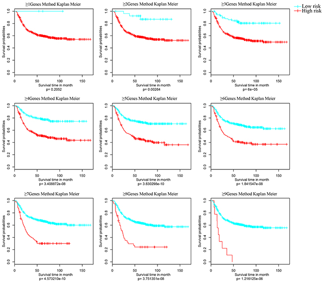 Kaplan Meier survival analyses of different clusters.