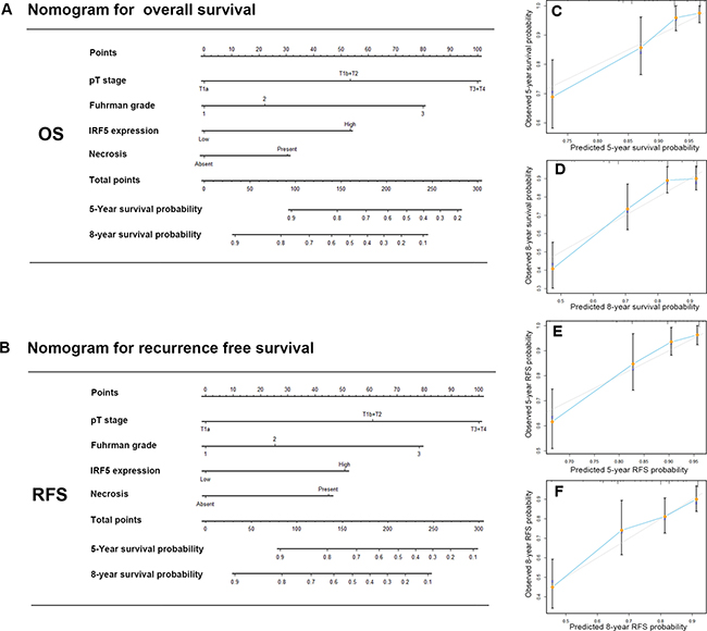 Nomogram for predicting 5- and 8-year overall survival and recurrence free survival in patients with ccRCC.