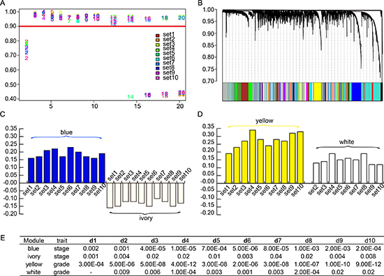 Weighted gene co-expression network of SOC.