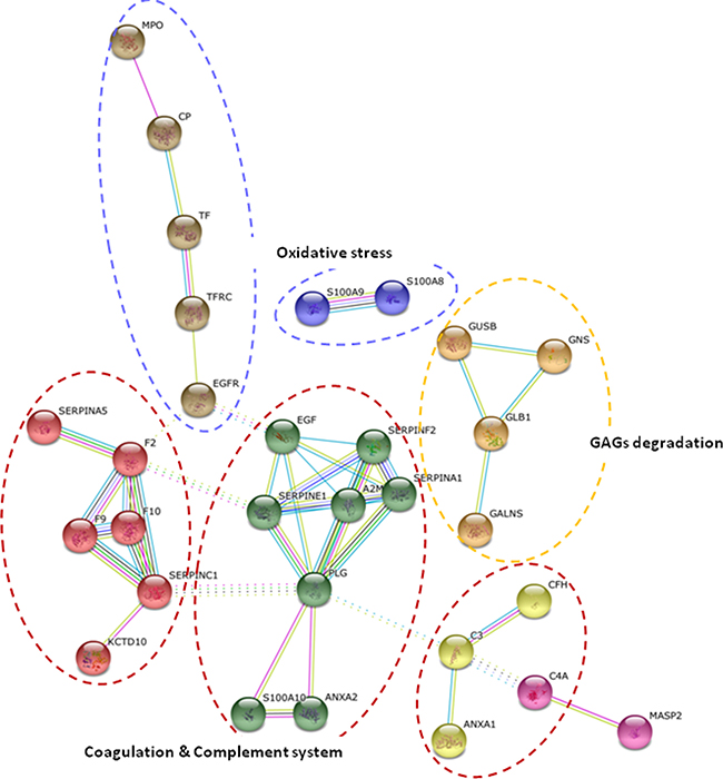 Functional analysis of protein variations.