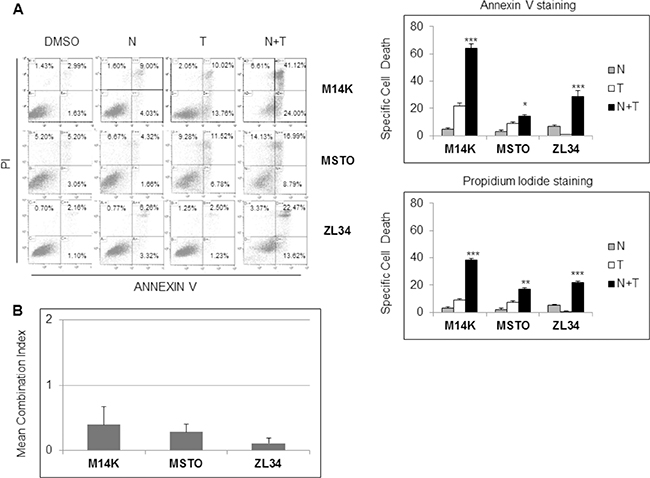 Nutlin 3a synergizes with rh/TRAIL in apoptosis induction in MPM cell lines.