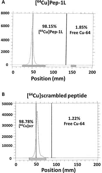 Radiolabeling Pep-1L and scrambled peptide to Cu-64.