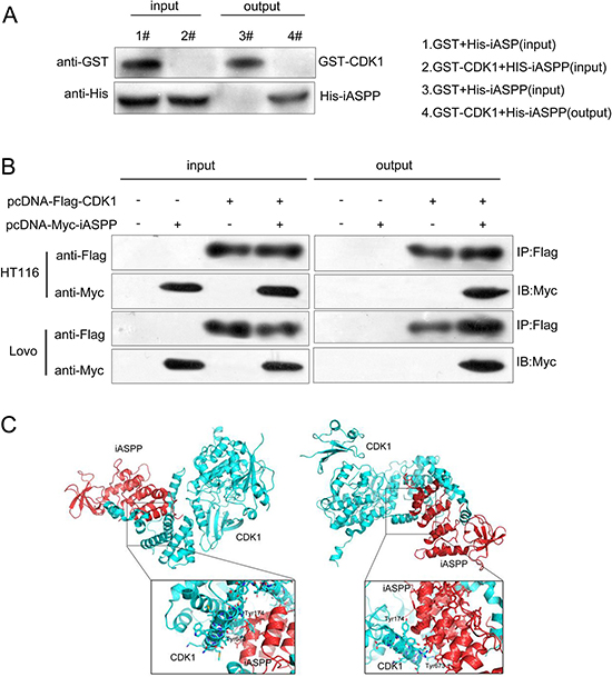 Figure 3: