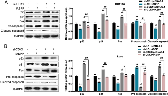 Figure 5: