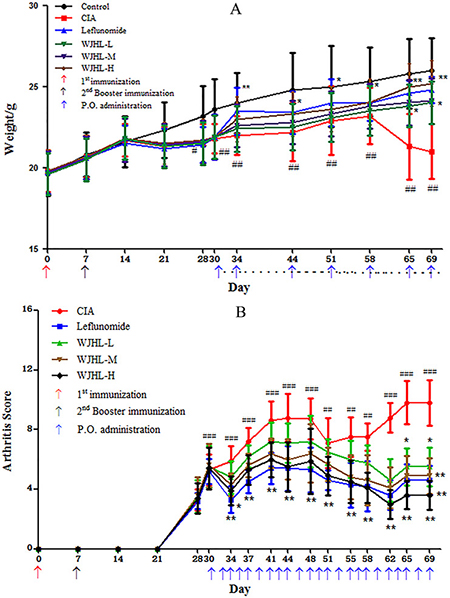 Effects of WJHL on disease progression in CIA mice.