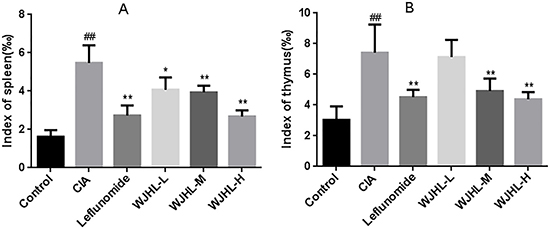 Effect of WJHL on the main organ index of CIA mice.