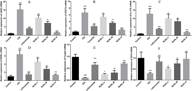 Relative expressions of JAK2, STAT3, IL-17A, ROR&#x03B3;t, Foxp3, and OPG mRNA in synovial tissues of CIA mice.