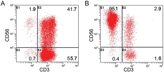 Proportion analysis of CD3-CD56+ cells (NK cells).