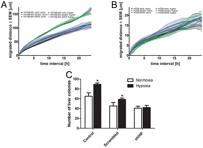 Effect of HIF-1&#x03B1; gene silencing on the migration and in vivo metastatic potential.