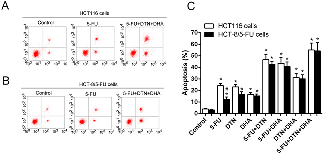 Characteristics of apoptosis in HCT 116 cells and HCT-8/5-FU cells following different treatment of 5-FU, DTN or DHA.