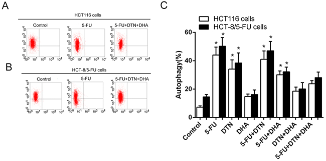 Characteristics of autophagy in HCT116 cells following different treatments of 5-FU, DTN and DHA.