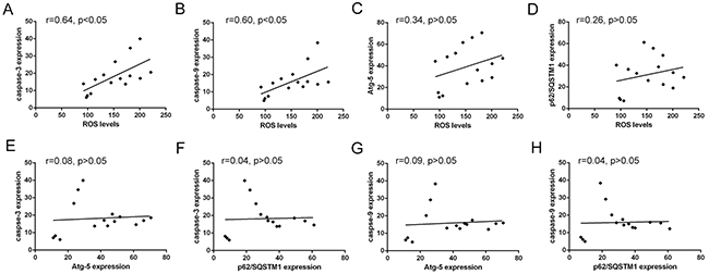 Correlated trend between ROS levels and Atg-5, p62/SQSTM1, caspase-3 or caspase-9 expression.