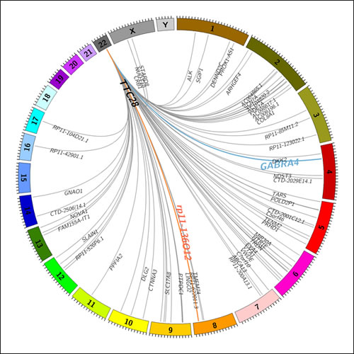 A Circos plot showing identified transposition events originating from