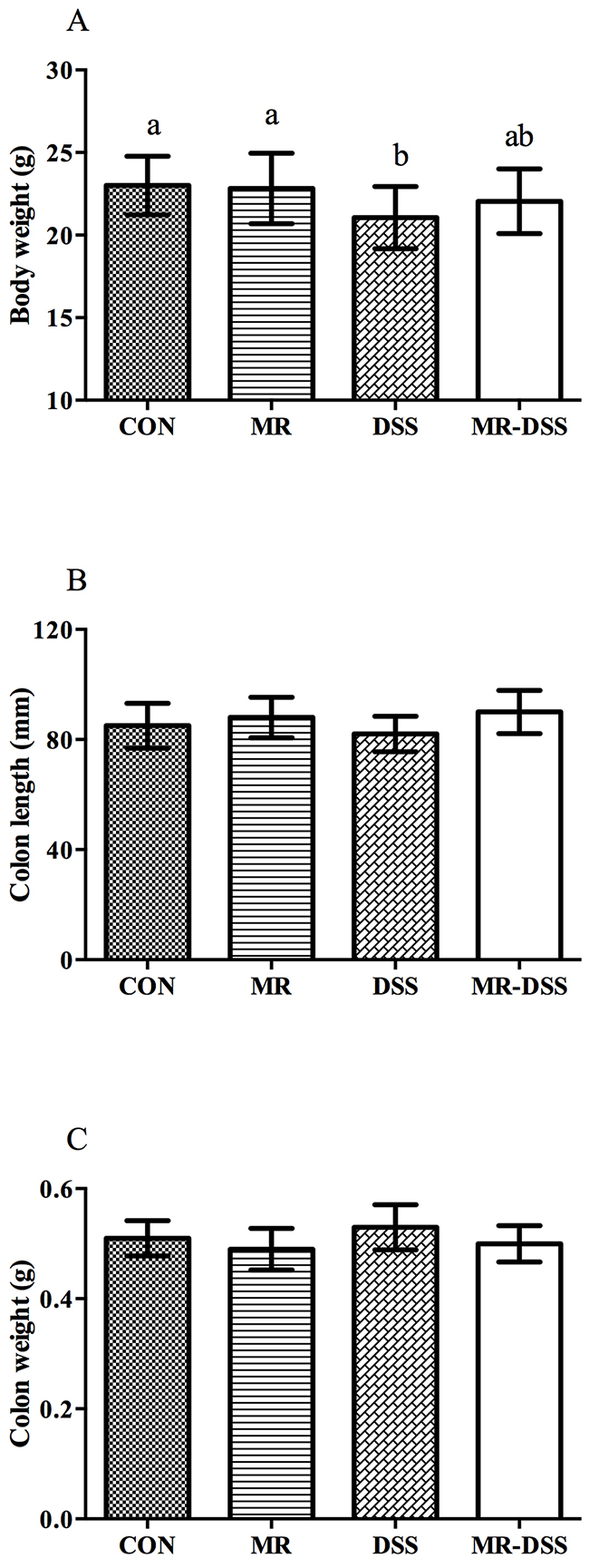 The effect of administration of an MR diet after DSS treatment on (A) body weight, (B) colon length and (C) colon weight.