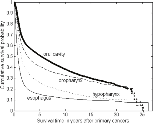 The Kaplan-Meier survival curves of the patients with primary oral cancer (including oral cavity, oropharynx and hypopharynx) and primary esophageal cancer.
