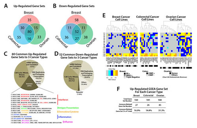 GSEA analysis of transcripts regulated by AZA in breast, colorectal, and ovarian cancer cell lines reveals pathways common to all three cancer types.