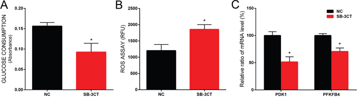 The effect of SB-3CT on glucose consumption, ROS level and gene expression in PC-3 cells.