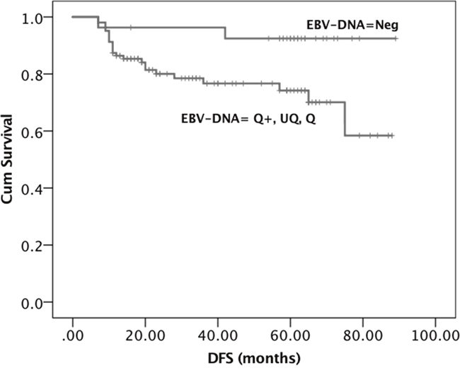 Kaplan-Meier survival curves showing the probability of DFS in locally advanced EBER positive NPC patients.