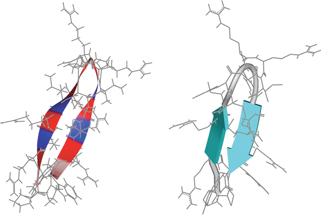 Structure prediction of peptide R-DIM-P-LF11-334.