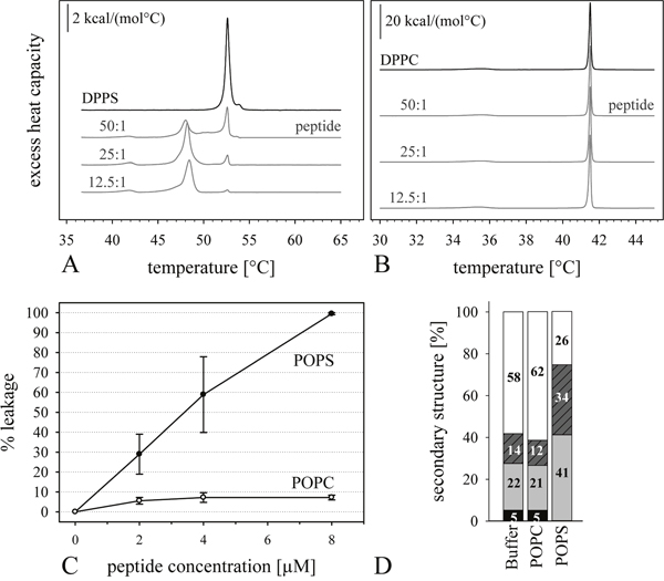 Influence of peptide R-DIM-P-LF11-334 on model systems of cancer and non-cancer cells.