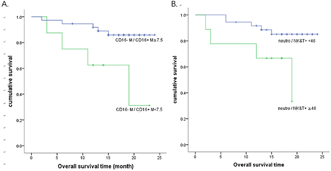 Kaplan-Meier survival curves for overall survival.