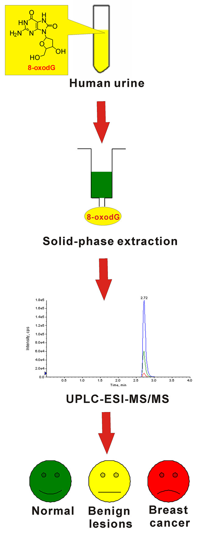Schematic diagram of the workflow involved in detection of 8-oxodG in urine samples.