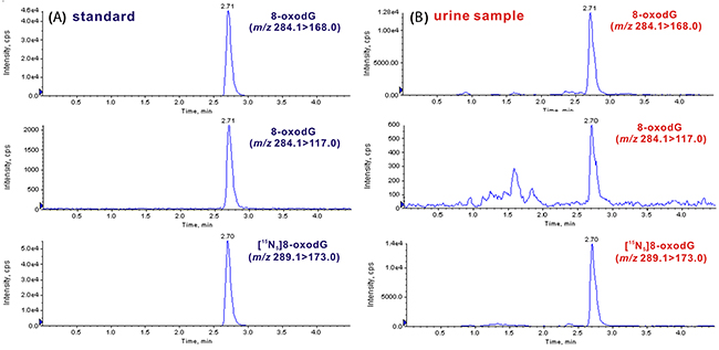 Identification of 8-oxodG in urine sample by UPLC-MS/MS.