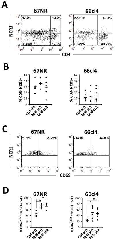 NK cells are more active in BPTF depleted tumor microenvironments.