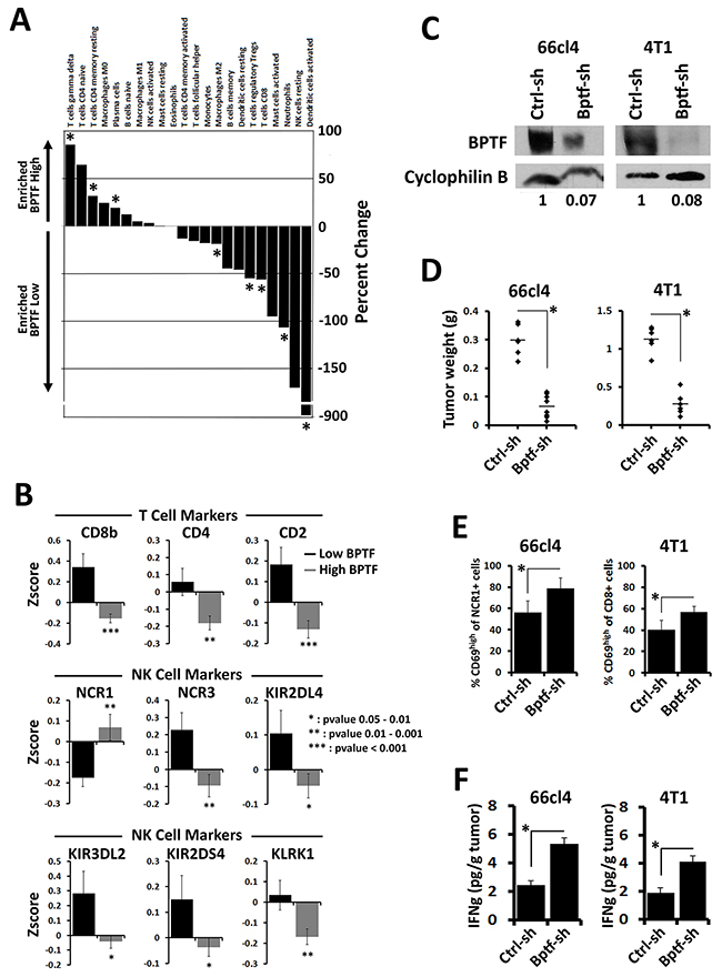 BPTF is required for an immune suppressive tumor microenvironment.
