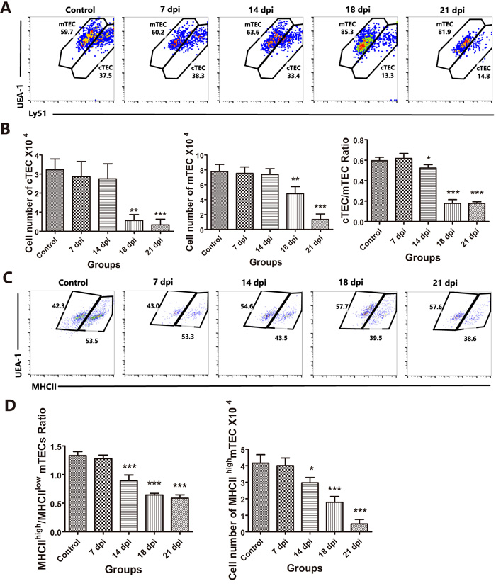 Changes in TEC subpopulations affected by