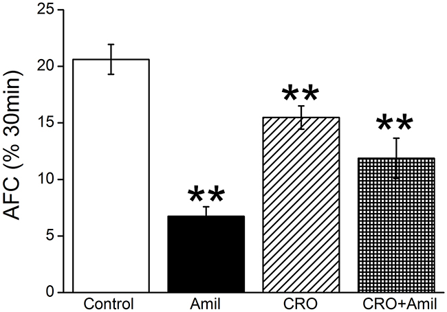 CRO downregulates mouse alveolar fluid clearance in vivo.